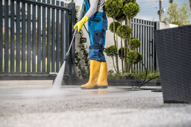 Best Pressure Washing Driveway  in South Barrington, IL
