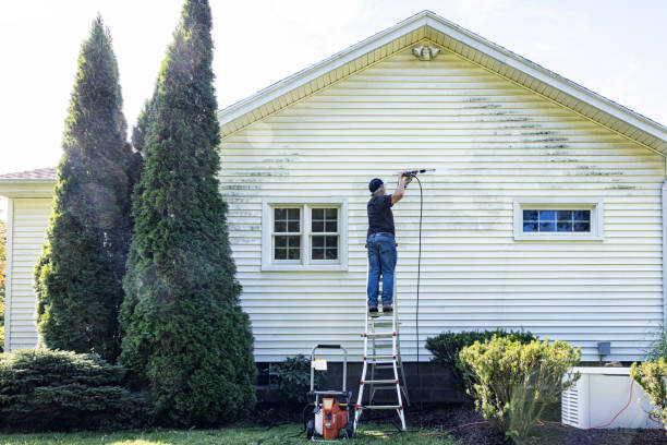 Best Residential Pressure Washing Services  in South Barrington, IL