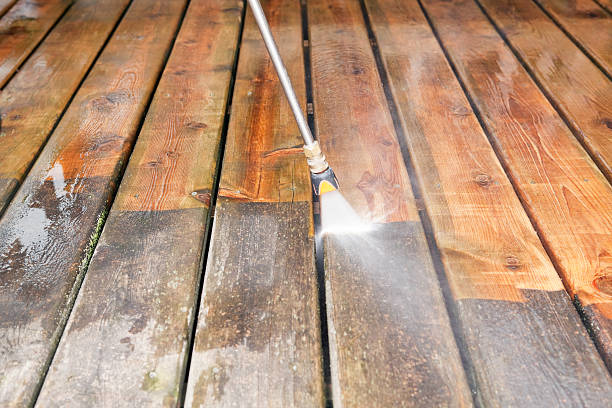 Best Exterior Home Cleaning  in South Barrington, IL